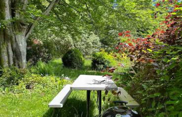 Pinewood Lodge - Foto 32