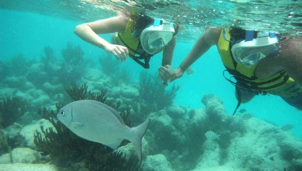 Um casal praticando snorkel e contemplando um peixe