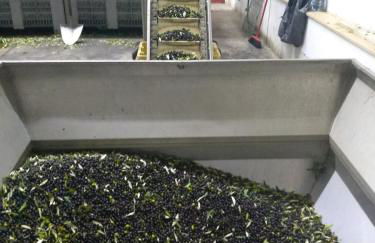 Casa Ambrogi Stefano - Photo 65