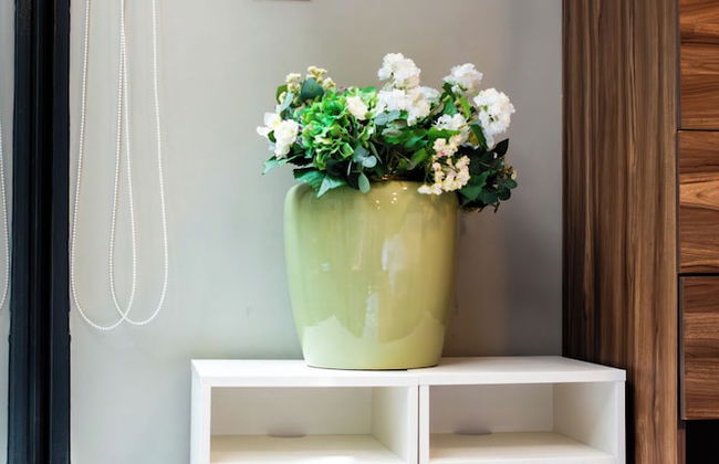 Asombros Depto en Corazon de la Condesa - Foto 6