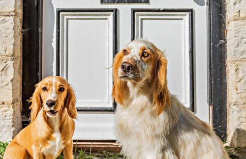 1 Bed in Yeovil oc-poloc - Foto 8