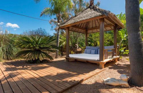 Can Botanic - Foto 7