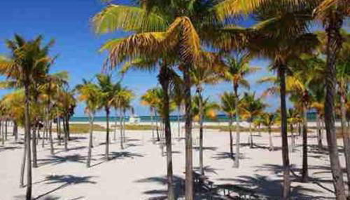 Orange You Glad you came - Foto 4