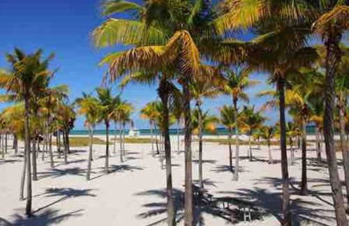 Orange You Glad you came - Photo 4