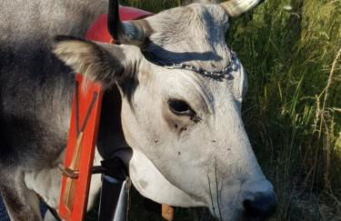 Lorica Suite Lago - Foto 74