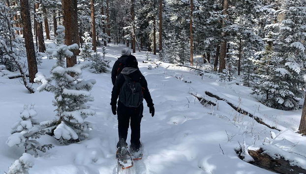 Recorriendo con raquetas de nieve el parque