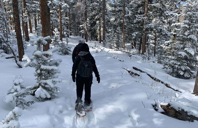 Rocky Mountains Snowshoe Tour - Photo 4