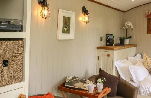 Little Silver Owl - Foto 12