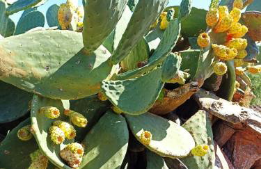 Nido sul mare - Foto 12