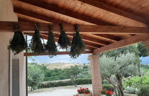 Agriturismo Torre Gialluise - Photo 27