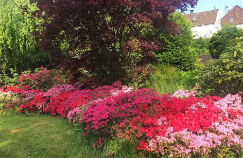 Oase der Ruhe - Foto 9