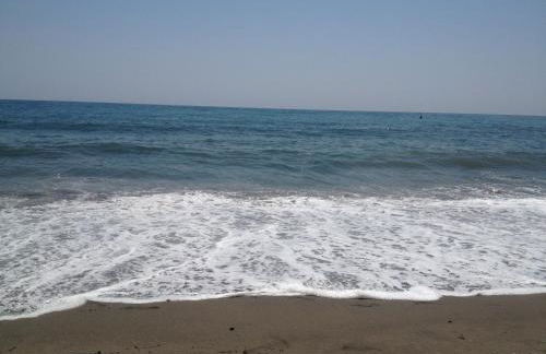 Apartamento Nautilus Beach - Photo 9