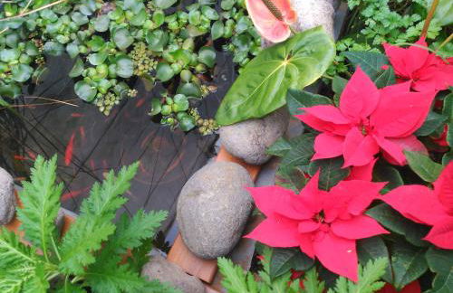 Villa Canaria piscina jacuzzi jardín - Foto 45