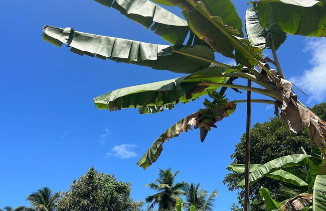 Paul's Residence - Foto 28