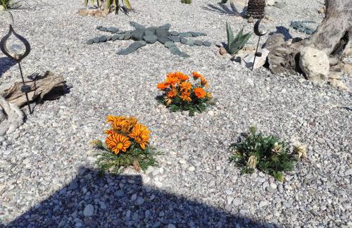 Mountain View Bungalows Dimilia - Foto 27