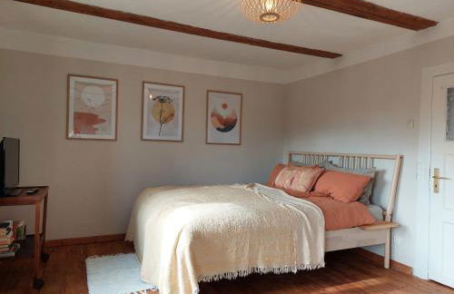 Gemütliches Studio-Apartment in Ostseenähe - Cosy Wulfi - Photo 7