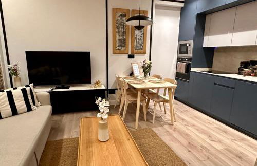 APARTAMENTO CALLE ALCALA - Photo 1