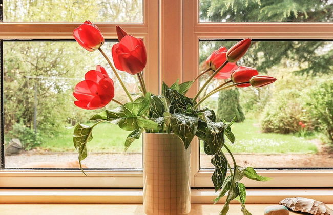 6 Person Holiday Home in Aeroskobing - Photo 16