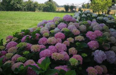 Corte Ventaglio - Foto 25