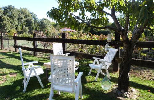 Huerto Los Castaños - Foto 8