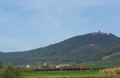Gîte du forgeron - 6 à 8 personnes - Centre Alsace - Saint-Hippolyte - Foto 19