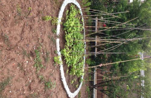 George Paradise - Foto 21