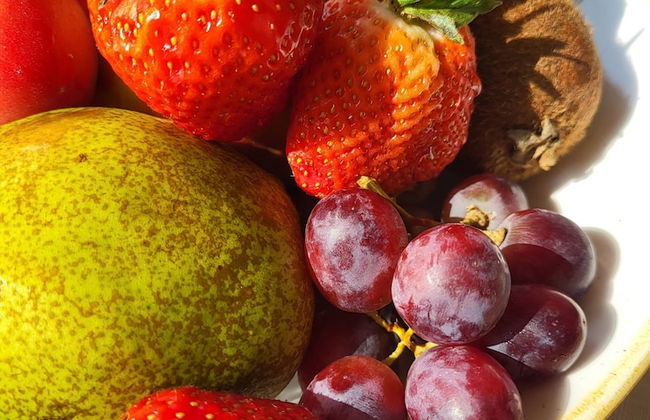 Resort Village Majer - Foto 21