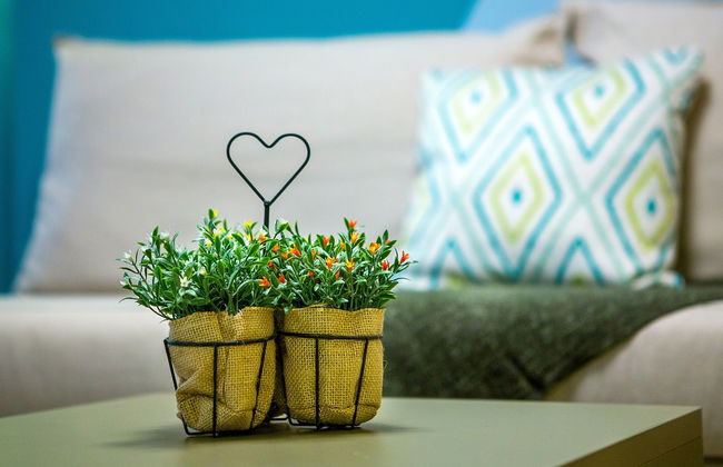 Emerald Suite - Foto 11