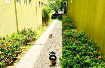 Apartamento com piscina no hooftop, 48m2 - Praia da Iracema- Fortaleza - Foto 14