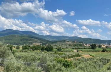 Accanto a Firenze - Foto 42