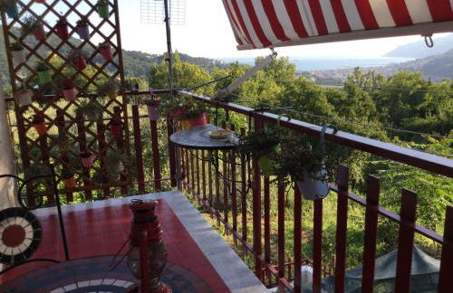 Il cipresso - Photo 25