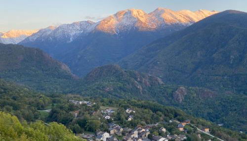 Les FEICHES et MARGUERITES - Foto 4