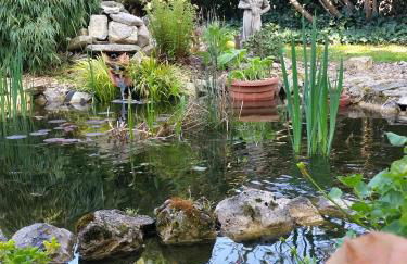 La Forge, Lieu des Chevilloux - Foto 59