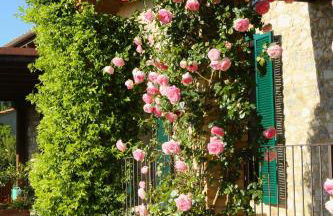 Casa Maria - Foto 22