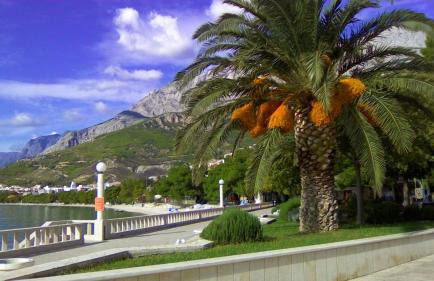 Apartments Malina - Foto 36