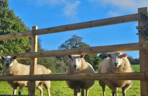 The Breckland at Sugar Lane Farm - Foto 55