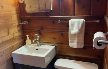 Sleeping Bear Riverside Cabins - Foto 38