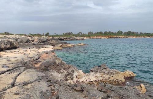 Villa Aurita - Foto 38