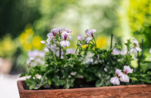 Gîte du Rouard - Foto 17