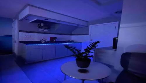 Private Studio Suite with Separate Entrance & Backyard, Quiet Brooklyn Stay - Foto 5