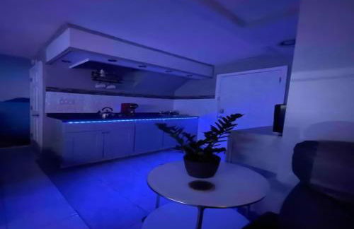 Private Studio Suite with Separate Entrance & Backyard, Quiet Brooklyn Stay - Photo 5