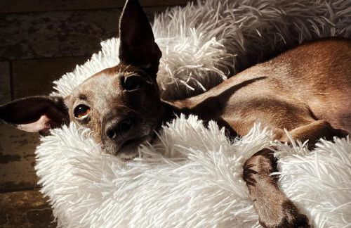 New Elms Farmhouse - Foto 58