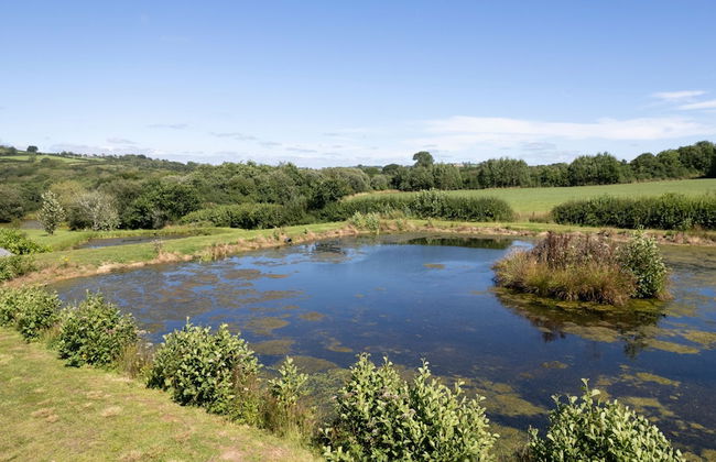 The Duck Pond - Countryside Hot Tub - Foto 28