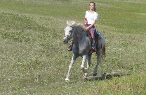 Refugios Parajuru - Chalet la Garagem - Photo 36