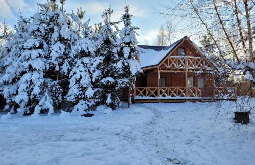 Dom pod brzozą-urowo - Foto 16