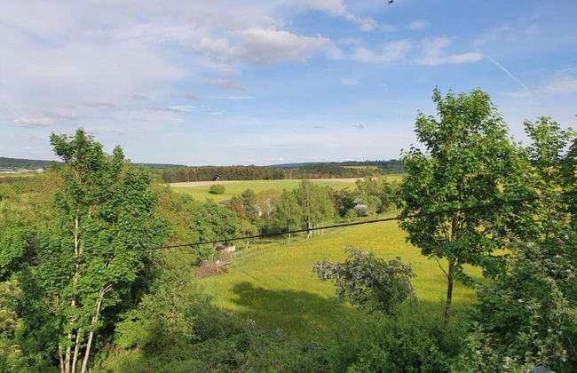 Holiday Home Moselle With Private Sauna - Photo 37