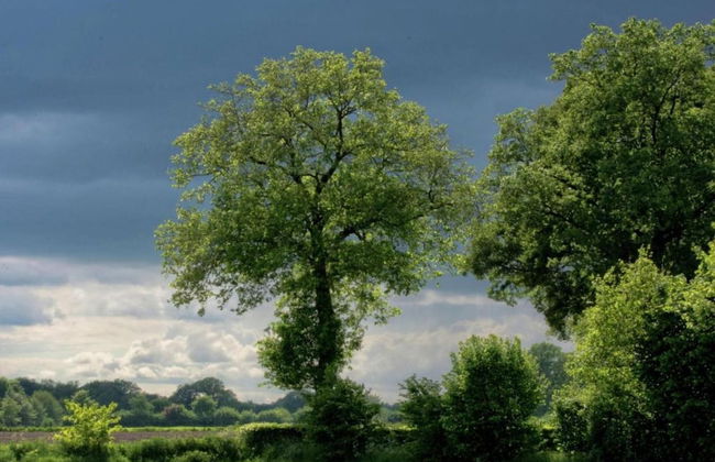 Apartment in Eibergen Near Zwillbrocker Venn - Foto 27