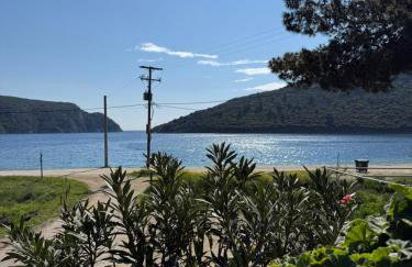 Pinelopi’s House - Foto 50