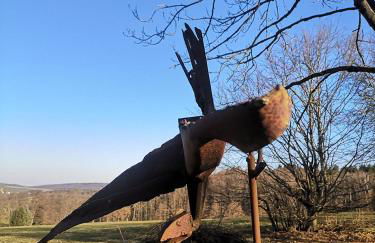 Landschule Rhön - Foto 36