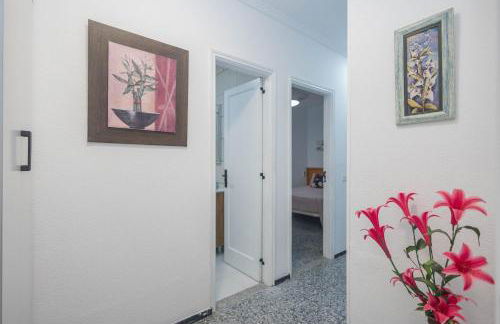 Apartamentos L O L A Arguineguin - Foto 66